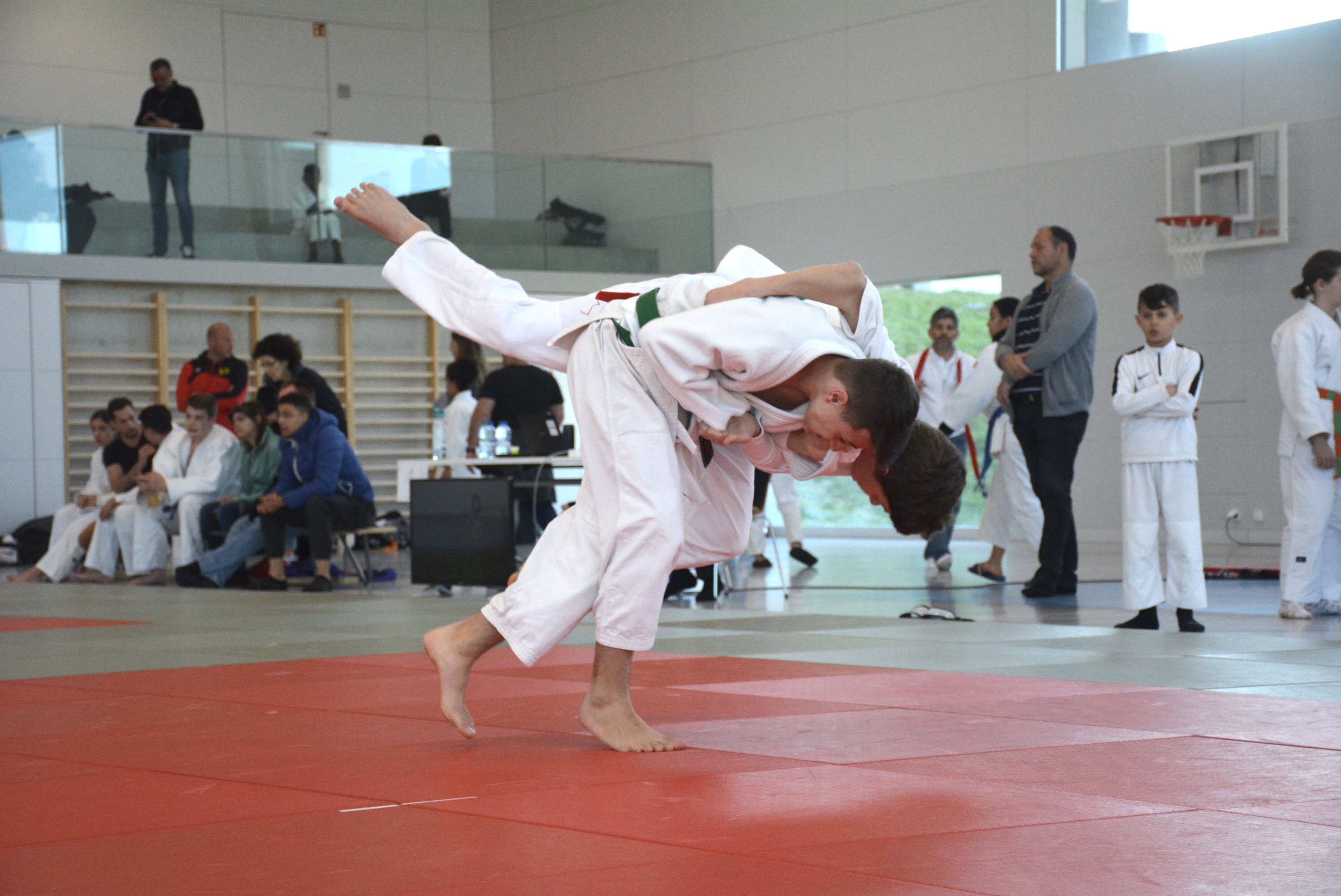 Judo1